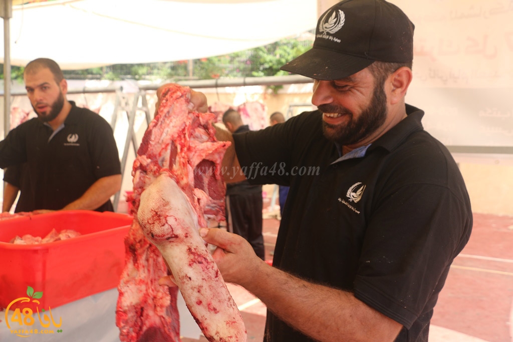 ada7y forthei (100).JPG